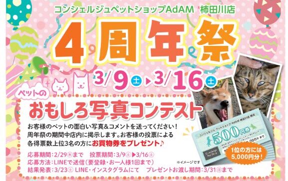 【地域情報】コンシェルジュペットショップAdAM柿田川店が4周年祭を開催します！