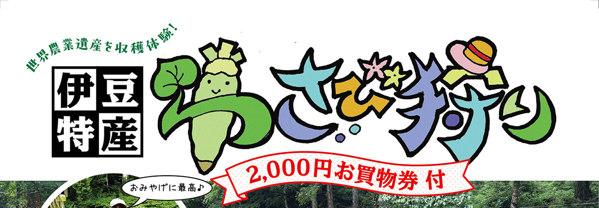 世界農業遺産を収穫体験！期間限定で開催される、伊豆の恵み「わさび狩り」のご案内